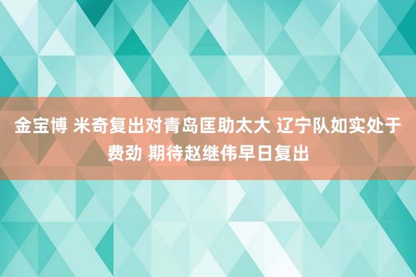 金宝博 米奇复出对青岛匡助太大 辽宁队如实处于费劲 期待赵继伟早日复出