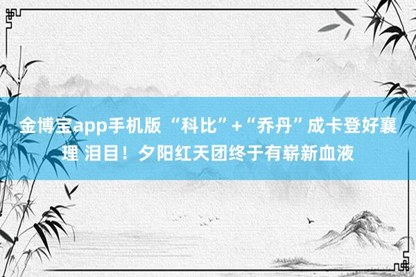 金博宝app手机版 “科比”+“乔丹”成卡登好襄理 泪目！夕阳红天团终于有崭新血液