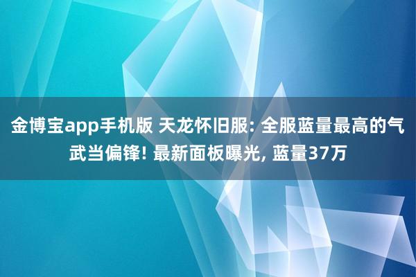 金博宝app手机版 天龙怀旧服: 全服蓝量最高的气武当偏锋! 最新面板曝光， 蓝量37万