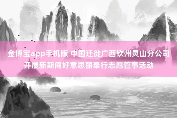 金博宝app手机版 中国迁徙广西钦州灵山分公司开展新期间好意思丽奉行志愿管事活动