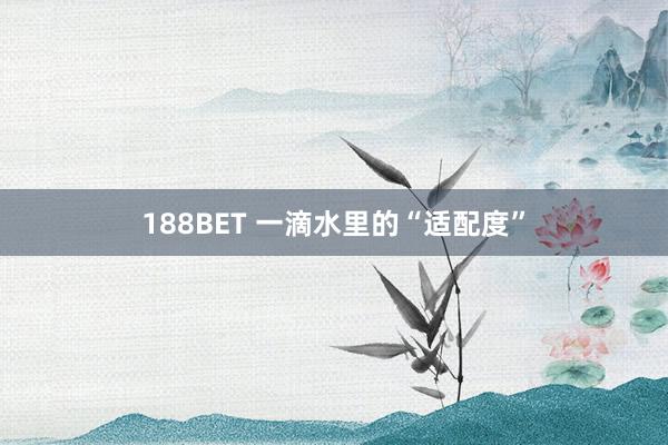 188BET 一滴水里的“适配度”