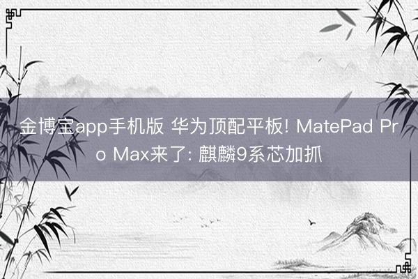 金博宝app手机版 华为顶配平板! MatePad Pro Max来了: 麒麟9系芯加抓