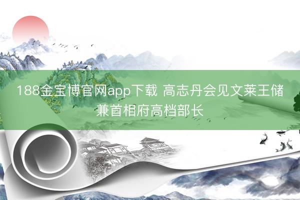 188金宝博官网app下载 高志丹会见文莱王储兼首相府高档部长