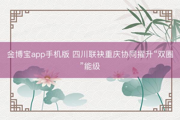金博宝app手机版 四川联袂重庆协同擢升“双圈”能级