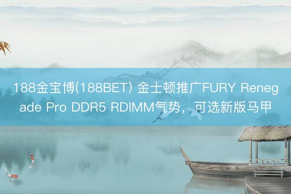 188金宝博(188BET) 金士顿推广FURY Renegade Pro DDR5 RDIMM气势，可选新版马甲