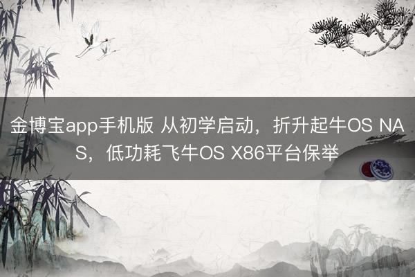 金博宝app手机版 从初学启动，折升起牛OS NAS，低功耗飞牛OS X86平台保举