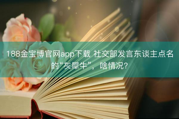 188金宝博官网app下载 社交部发言东谈主点名的“灰犀牛”,啥情况?
