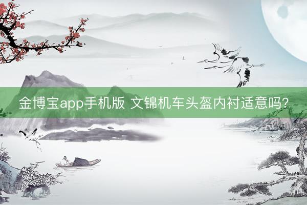 金博宝app手机版 文锦机车头盔内衬适意吗？