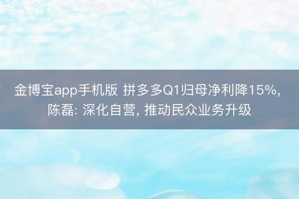 金博宝app手机版 拼多多Q1归母净利降15%, 陈磊: 深化自营, 推动民众业务升级