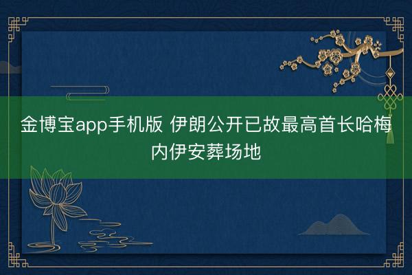 金博宝app手机版 伊朗公开已故最高首长哈梅内伊安葬场地