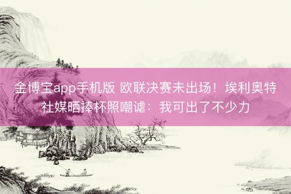金博宝app手机版 欧联决赛未出场！埃利奥特社媒晒捧杯照嘲谑：我可出了不少力