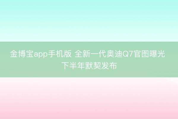 金博宝app手机版 全新一代奥迪Q7官图曝光 下半年默契发布