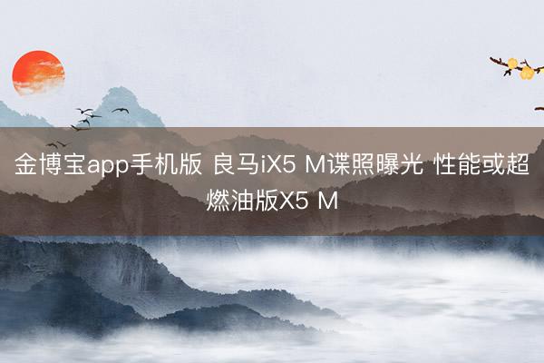 金博宝app手机版 良马iX5 M谍照曝光 性能或超燃油版X5 M