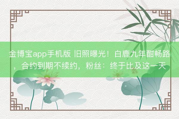 金博宝app手机版 旧照曝光！白鹿九年酣畅路，合约到期不续约，粉丝：终于比及这一天