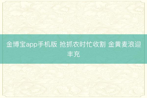 金博宝app手机版 抢抓农时忙收割 金黄麦浪迎丰充
